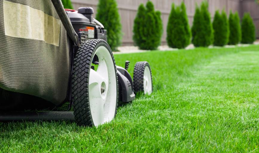 Lawn Mowing